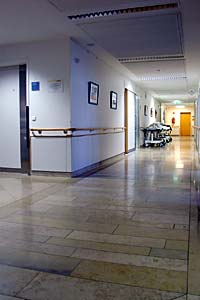Madness on the Forth Floor